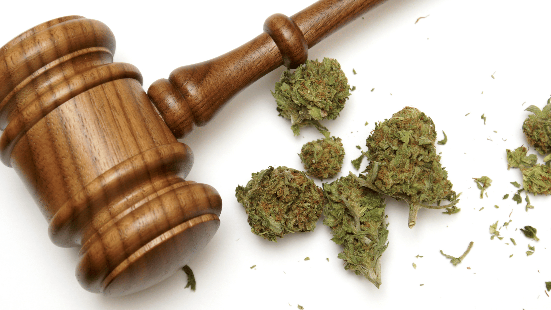 Cannabis Regulations and Compliance Module at Hemp Temps University
