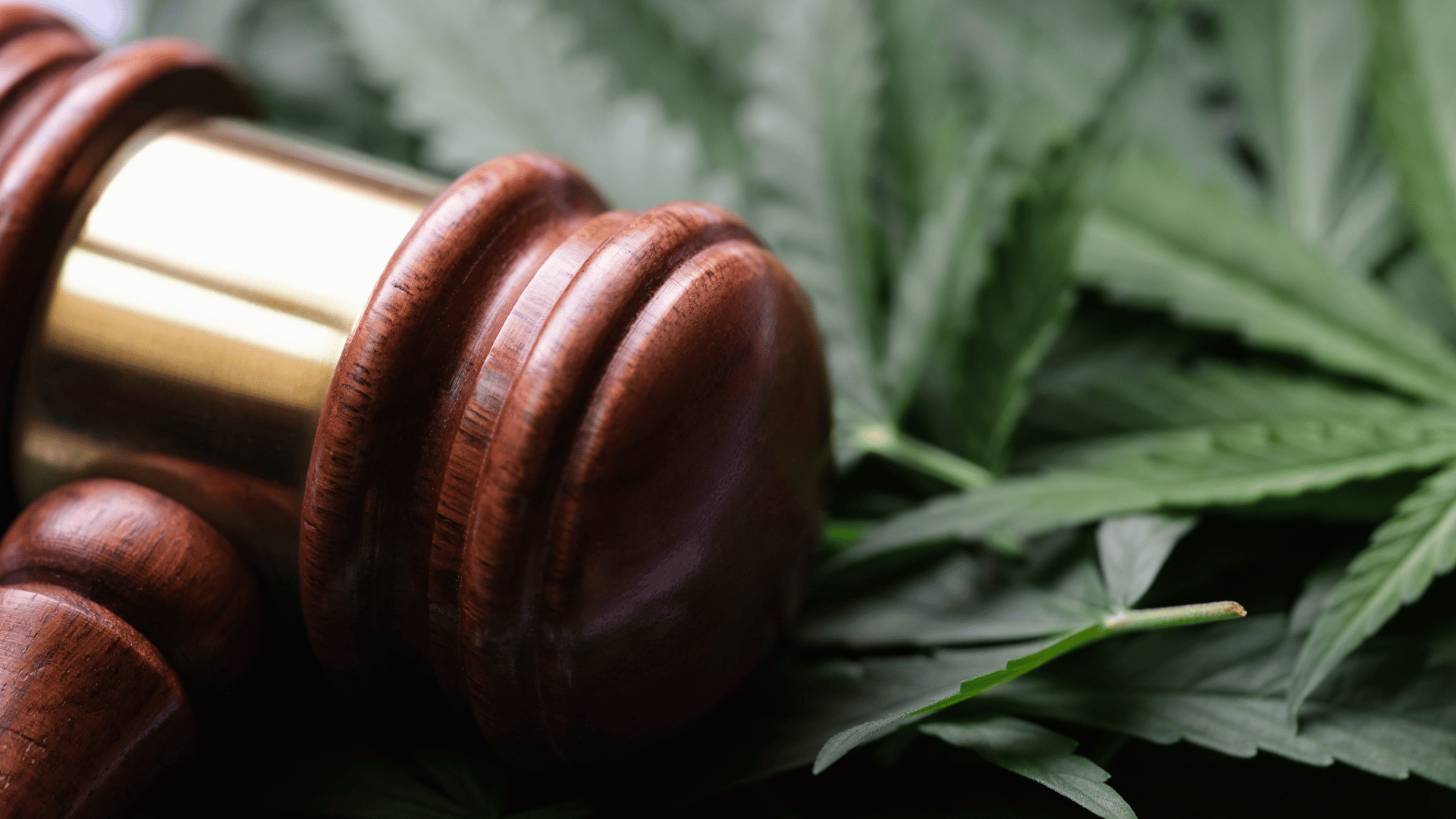 Compliance with Health and Safety Regulations Lesson Lesson Unit at Hemp Temps University
