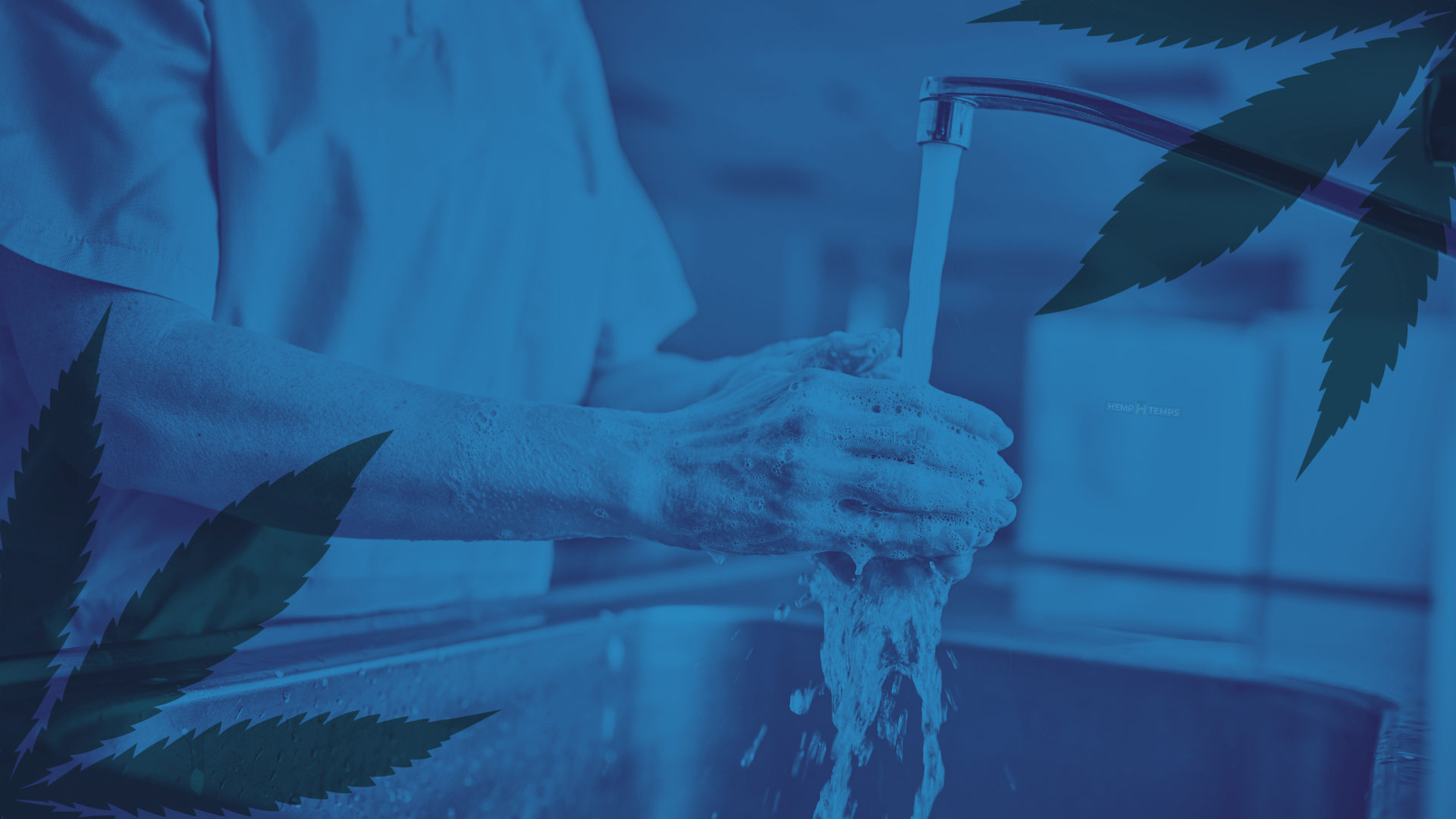 Hygiene Best Practices Lesson Unit at Hemp Temps University