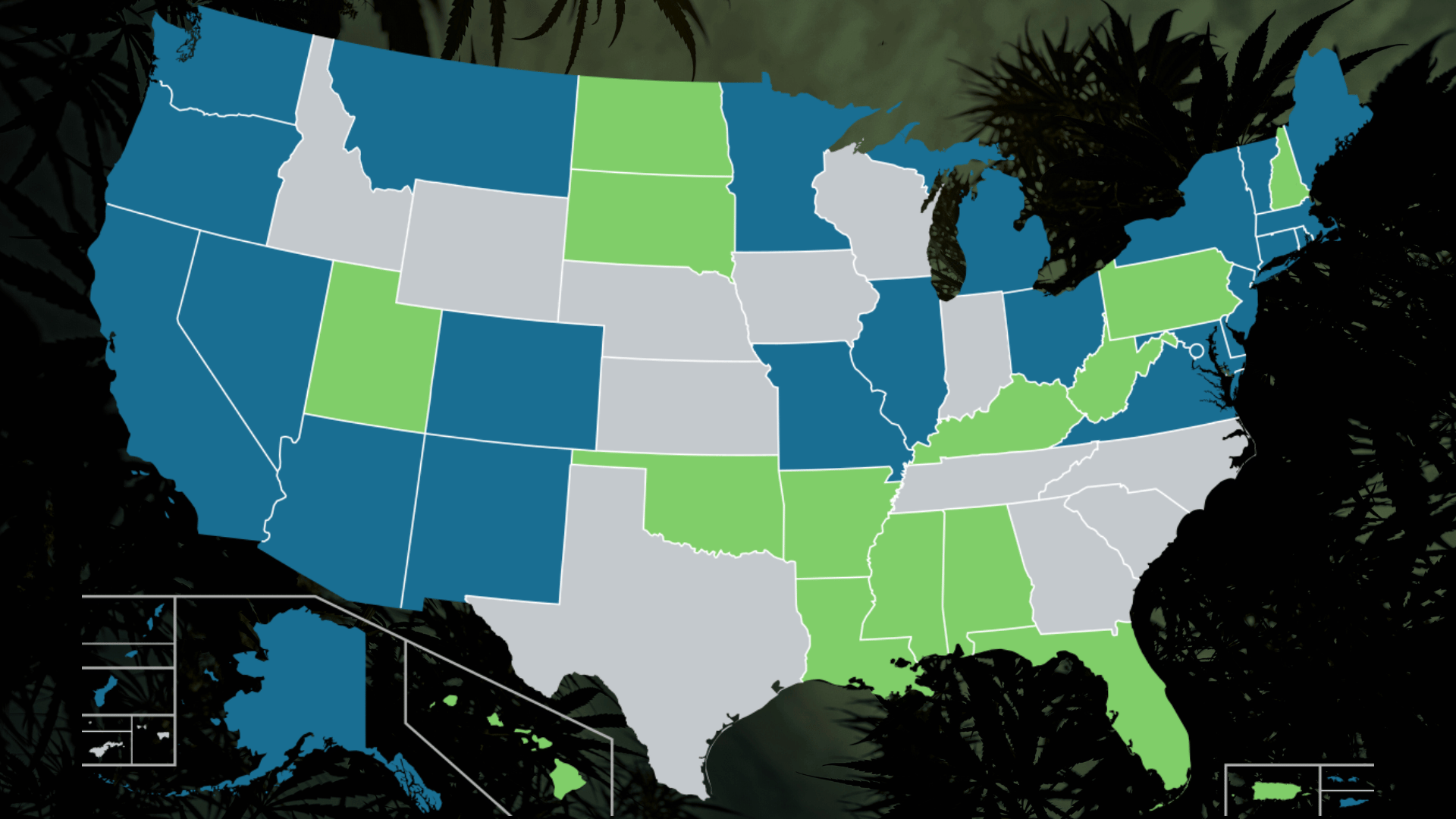 Understanding Local and Federal Cannabis Laws lesson at hemp temps university