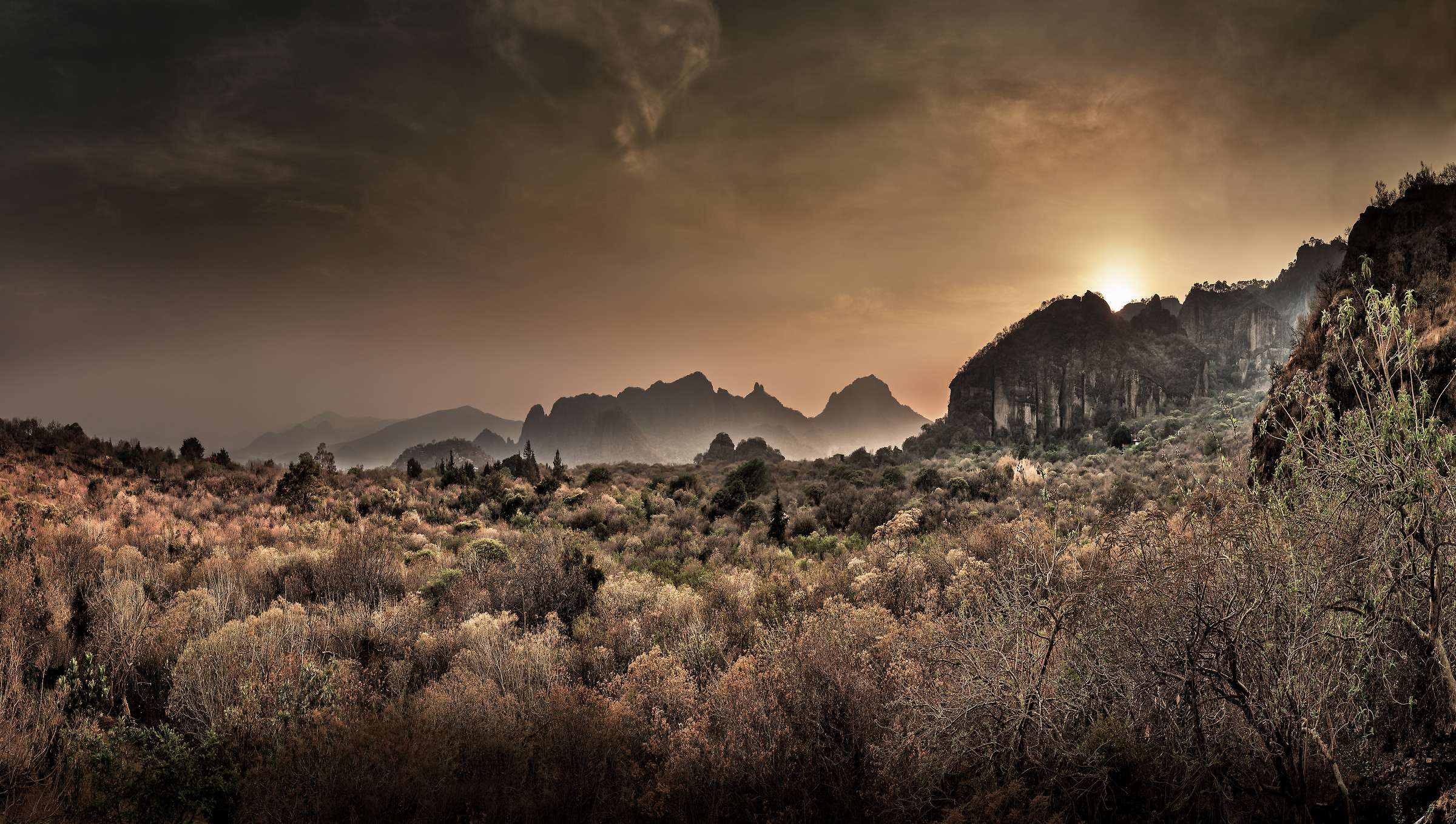 How to Get a Job in the Cannabis Industry in New Mexico
